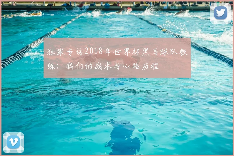 独家专访2018年世界杯黑马球队教练：我们的战术与心路历程